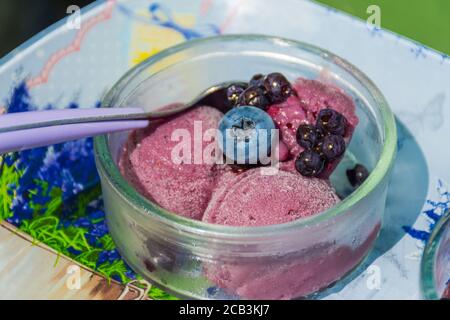 Delizioso gelato alla lavanda fatto in casa in una tazza di vetro con mirtilli e frutti di bosco, primo piano Foto Stock