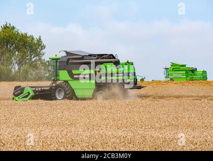 East Lothian, Scozia, Regno Unito, 10 agosto 2020. Tempo nel Regno Unito: Un campo di grano viene raccolto da una mietitrebbia Deutz-Fahr a Mungoswells in estate Foto Stock