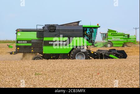 East Lothian, Scozia, Regno Unito, 10 agosto 2020. Tempo nel Regno Unito: Un campo di grano viene raccolto da una mietitrebbia Deutz-Fahr a Mungoswells in estate Foto Stock