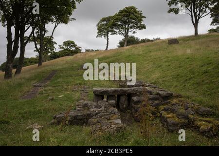 Bar Hill Fort area del muro Antonine di epoca romana, vicino a Twechar, Scozia, 10 agosto 2020. Foto Stock