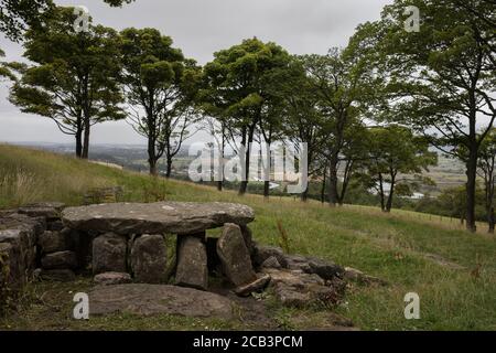 Bar Hill Fort area del muro Antonine di epoca romana, vicino a Twechar, Scozia, 10 agosto 2020. Foto Stock