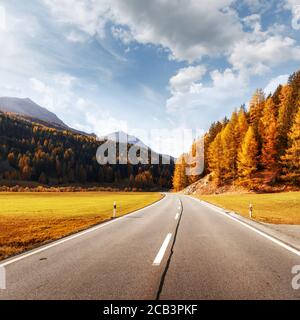 Fantastica vista della strada alpina, arancione bosco di larici e alte montagne sullo sfondo. La Svizzera, vicino alla frontiera italiana. Fotografia di paesaggi Foto Stock