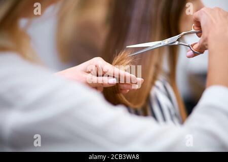 donna professionale moderna che lavora come parrucchiere e tagliando punte per capelli di una cliente femminile in salone di bellezza Foto Stock
