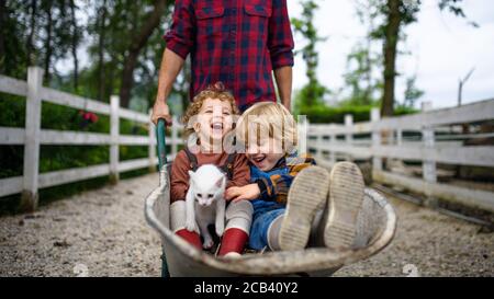 Padre irriconoscibile che spinge i bambini piccoli in carriola in fattoria. Foto Stock