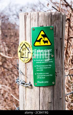 Un cartello su un sentiero pubblico avverte della presenza di animali da fattoria e chiede alle persone di mantenere la distanza e di tenere i cani in testa. Foto Stock