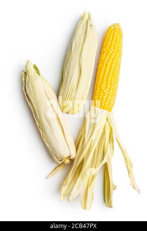 Pannocchie di mais non cotte isolate su sfondo bianco. Foto Stock