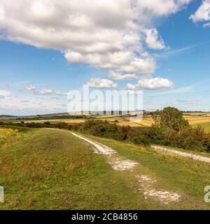 Il bastione nord est superiore dell'antica collina fortificazione dell'età del ferro di Cissbury Ring guardando a nord nel South Downs National Park, West Sussex, Regno Unito. Foto Stock