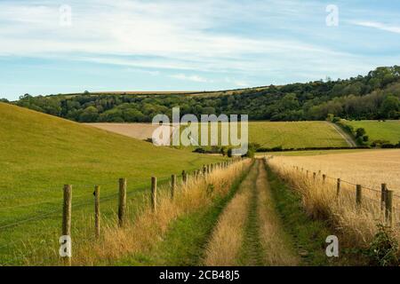 Sentiero / strada di collegamento / pista agricola che corre lungo Stump Bottom verso l'estremità est del Cissbury Ring nel South Downs National Park, West Sussex, Regno Unito. Foto Stock