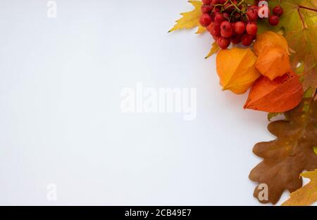 Composizione autunnale. Telaio fatto di fiori secchi e foglie d'autunno. Vista dall'alto, disposizione piatta Foto Stock