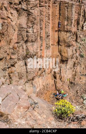 Arrampicata su roccia basaltica verticale in Frenchmen Coulee Vicino all'area dell'altopiano del fiume Columbia, Washington state Foto Stock