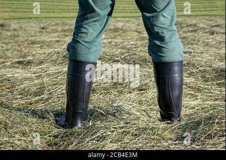 Con i suoi stivali di gomma nera, l'agricoltore si trova sul campo nel mezzo del suo fieno. Foto Stock