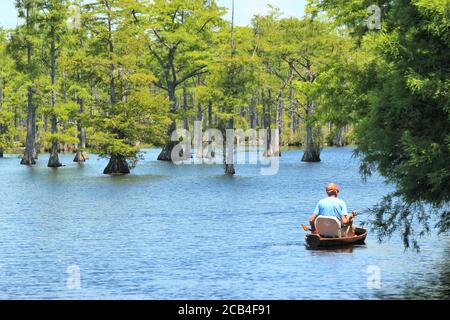 Uomo pesca da una barca su un lago con Cypruss alberi Foto Stock