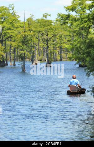 Uomo pesca da una barca su un lago con Cypruss alberi Foto Stock