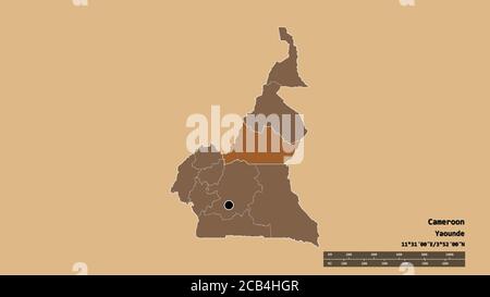 Forma desaturata del Camerun con la sua capitale, la principale divisione regionale e l'area separata di Adamaoua. Etichette. Composizione di texture con motivi. 3D Foto Stock