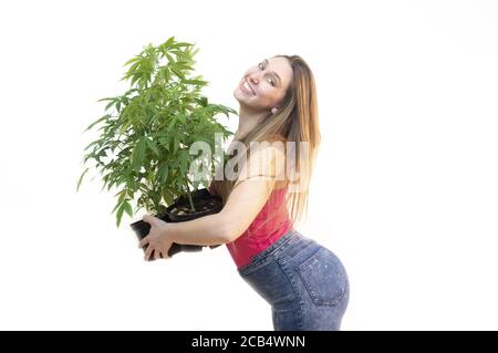 Felice giovane ragazza in piedi e in possesso di un vaso di cannabis. La ragazza pazza sorride e gioca abbracciando le sue pentole di pianta. Concetto di liberalizzazione della cannabis. Foto Stock