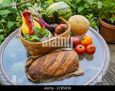 La seconda settimana di agosto quota agricola da una Comunità Vermont sostenuto Agricoltura (CSA) : locale, cibo stagionale direttamente da una fattoria Foto Stock