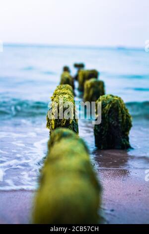 Le onde che si infrangono sul molo coperto di legno delle alghe rimangono sulla spiaggia. Foto scattata nel vigneto di martha, ma. Foto Stock