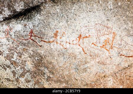 Matobo Hills, sito di pittura rock 'White Rhino Cave', arte rock, Matobo National Park, sobborghi di Bulawayo, Matabeleland Sud, Zimbabwe, Africa Foto Stock