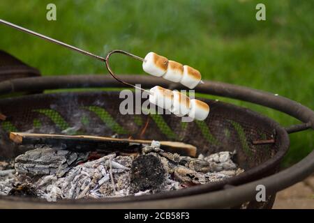 Tostare le marshmallows su un fuoco aperto. Foto Stock