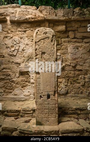 La Stela 35 nell'edificio 21 raffigura Lady Evenstar, la madre del re uccello Jaguar IV Sta svolgendo una cerimonia di afflusso del sangue. Le rovine del Maya Foto Stock