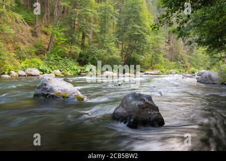 fiume che scorre liscio con rapide, grandi rocce e vegetazione verde sulle rive del fiume Foto Stock