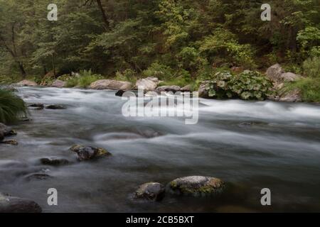 fiume che scorre liscio con rapide, grandi rocce e vegetazione verde sulle rive del fiume Foto Stock