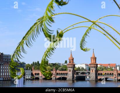 Berlino, Germania. 10 agosto 2020. Il ponte Oberbaum sullo Sprea tra Friedrichshain e Kreuzberg si può vedere dietro le foglie di una palma. Nell'arco centrale del ponte ci sono due torri alte 34 metri, che sono modellate sulla torre centrale della porta delle mura della città di Prenzlau. Credit: Jens Kalaene/dpa-Zentralbild/ZB/dpa/Alamy Live News Foto Stock