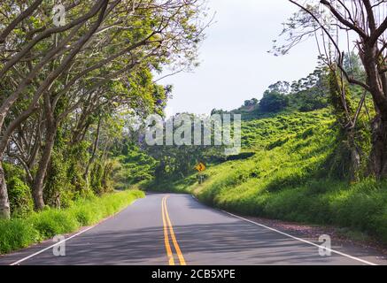 Vista del paesaggio lungo l'autostrada Piilani a Maui, isole hawaiane. Foto Stock