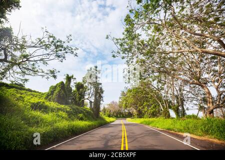 Vista del paesaggio lungo l'autostrada Piilani a Maui, isole hawaiane. Foto Stock