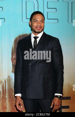 LOS ANGELES - JAN 10: Ray Fisher al primo Screening della Stagione 3 "True Detective" presso la Directors Guild of America il 10 gennaio 2019 a Los Angeles, California Foto Stock