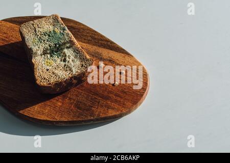 Forgi su pane, un pezzo di pane di segale con muffa bianca e verde su un tagliere di legno. La data migliore prima è scaduta. Foto Stock