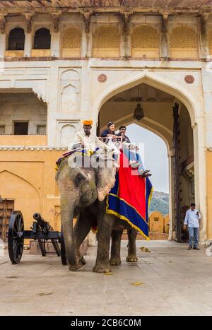 Elephant prendendo i turisti al forte di Amber a Jaipur, India Foto Stock