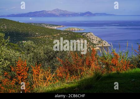 Paesaggio rurale dell'isola greca fotografato a Poros una piccola coppia di isole greche nella parte meridionale del Golfo Saronico, Grecia Foto Stock