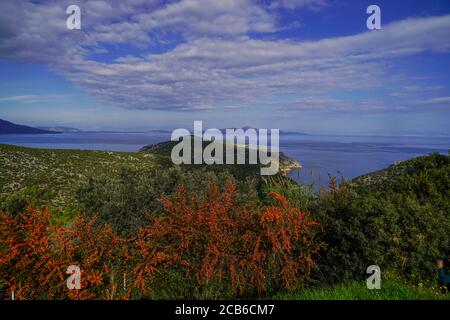 Paesaggio rurale dell'isola greca fotografato a Poros una piccola coppia di isole greche nella parte meridionale del Golfo Saronico, Grecia Foto Stock