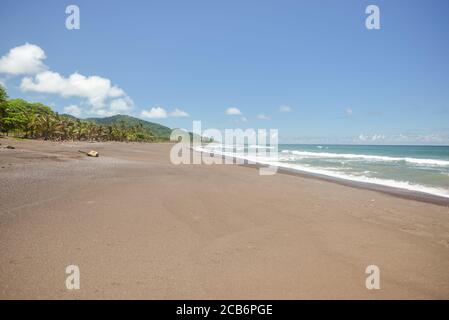 Lunga spiaggia di sabbia con palme e montagne con vegetazione sullo sfondo a Playa Venao, Panama Foto Stock