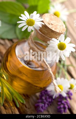 Olio ed erbe in piccola bottiglia di vetro su legno stagionato Foto Stock