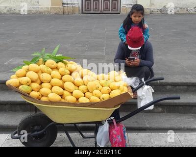 Venditori ambulanti che vendono mangos freschi maturi al mercato locale. Cuenca/Ecuador. Foto Stock