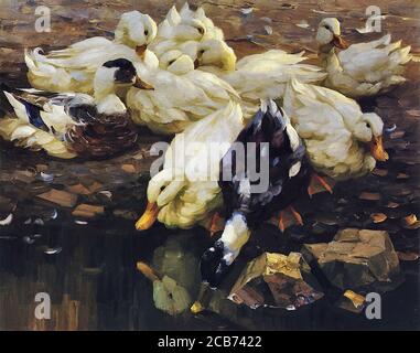 Koester Alexander - Enten am Teich 2 - Scuola di tedesco - 19 e inizio del 20 ° secolo Foto Stock