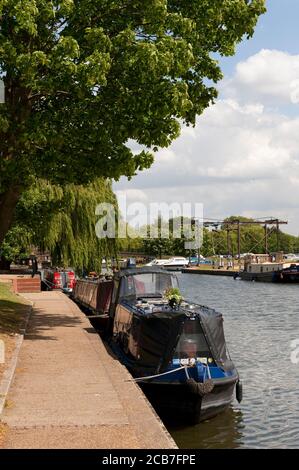 Barche ormeggiate sul fiume Great Ouse nella città cattedrale di Ely, Cambridgeshire, Inghilterra. Foto Stock