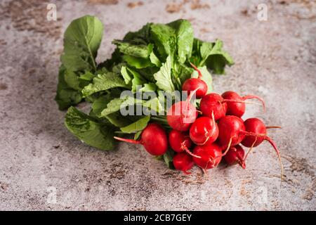 Primo piano di rafano appena raccolto su fondo di cemento Foto Stock