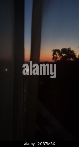 Consente di defocalizzare la vista dell'alba nelle tenebre con silhouette ad albero. Film artistico effetto granulare girato attraverso la tenda tulle della finestra Foto Stock