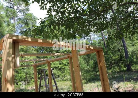 Costruzione di una nuova cabina nel bosco. Foto Stock