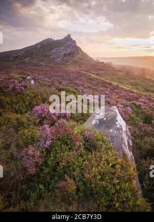 Luce mattutina attraverso Mist a Ramshaw Rocks nel Peak District National Park del Regno Unito con erica che fiorisce attraverso il terreno. Foto Stock