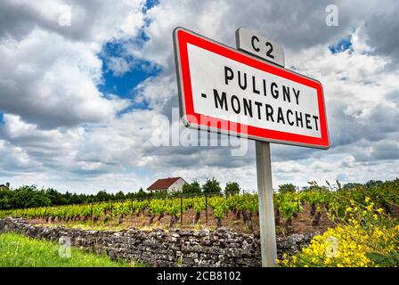 Puligny Montrachet cartello stradale sulla C2 Route des Grands Crus Puligny Montrachet, tipico ambiente primavera micro clima misto, Borgogna Cote d'Or Francia Foto Stock