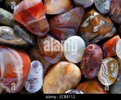 Primo piano Focus Stacked immagine di pietre lucidate per includere agati, Beach agates e legno pietrificato Foto Stock