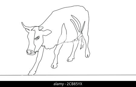 Linea continua UNA mucca bella è in piedi. Disegno di una linea sottile nera su sfondo bianco. Illustrazione Vettoriale