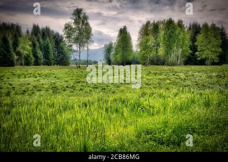 DE - BAVARIA: Loisach Moor nei pressi di Benediktbeuern (HDR-Image) Foto Stock