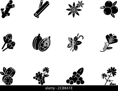 Spezie indiane glifo nero icone set su spazio bianco. Aroma aromatico. Cannella e anice stellato. Coriandolo e pepe nero. Stagionature asiatiche. Silhoue Illustrazione Vettoriale