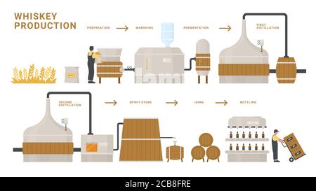 Illustrazione vettoriale del processo infografico di produzione di whiskey. Cartoon informazioni piano formazione poster di fermentazione, distillazione, affinamento e imbottigliamento alcol whiskey bevanda prodotto in bottiglia isolato su bianco Illustrazione Vettoriale