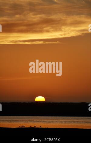 Tramonto d'oro sul fiume Berg inferiore, Veldddrif, Capo Occidentale Foto Stock